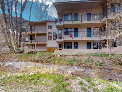 Telluride Condo 938104