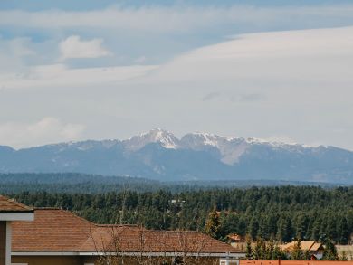 Breckenridge Condo 938107