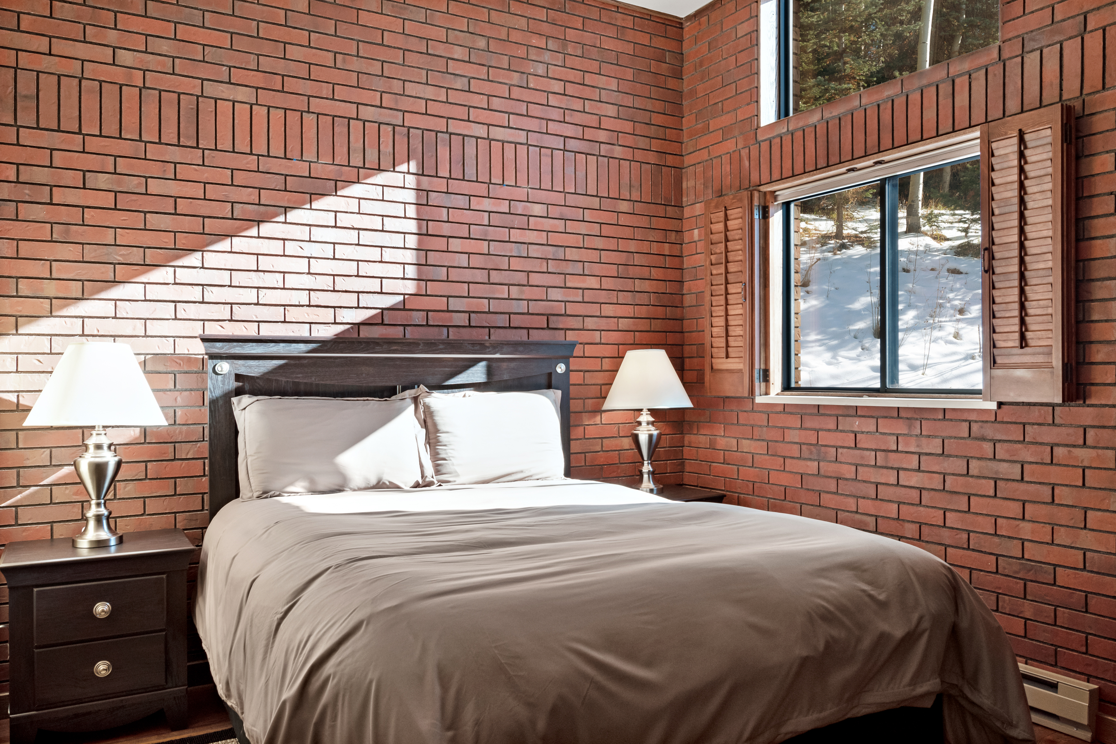 Telluride Condo 938112