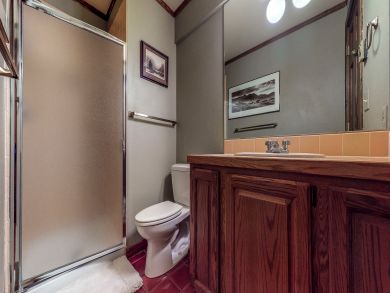 Telluride Condo 938112