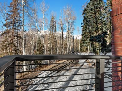 Telluride Condo 938112