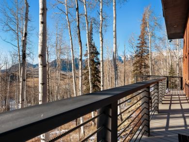 Telluride Condo 938112