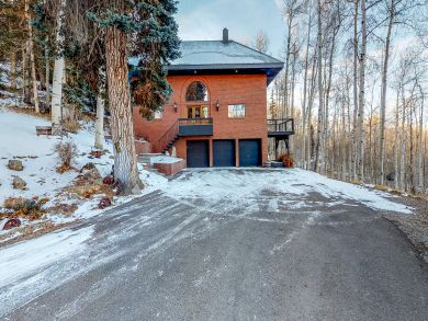 Telluride Condo 938112