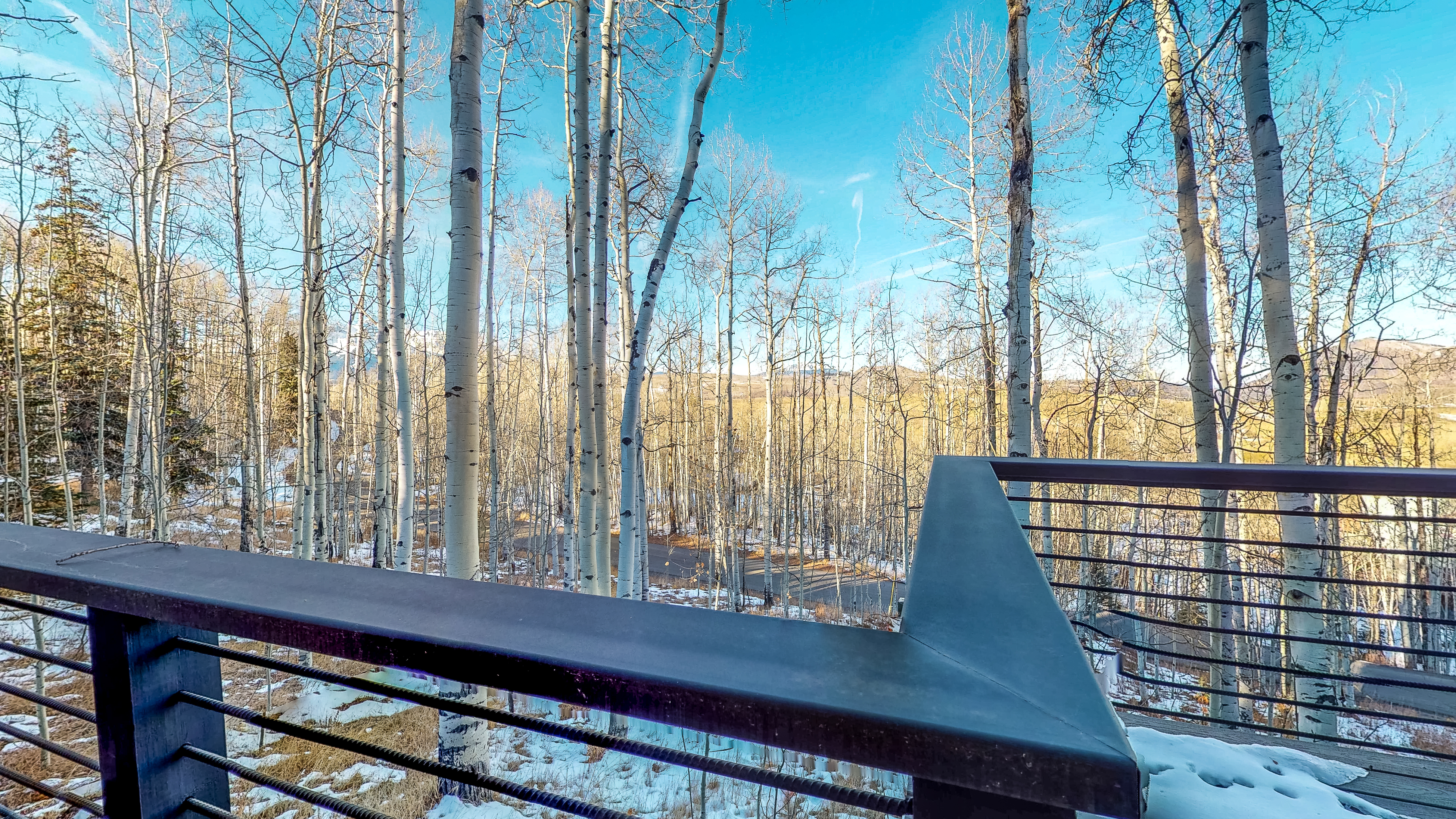 Telluride Condo 938112