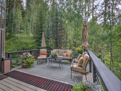 Telluride Condo 938112