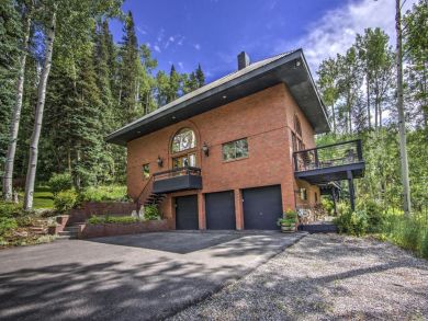 Telluride Condo 938112