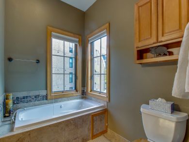 Breckenridge Condo 938116