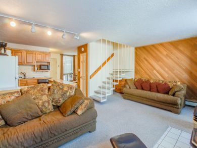 Breckenridge Condo 938117