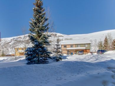 Breckenridge Condo 938117