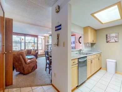 Breckenridge Condo 938118