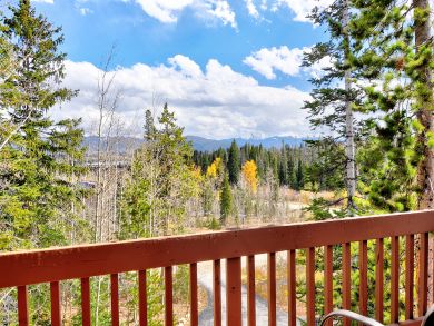 Breckenridge Condo 938120
