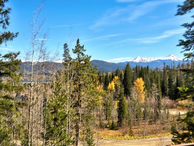 Breckenridge Condo 938120
