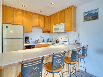 Snowmass Condo 938124