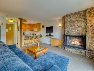 Snowmass Condo 938124