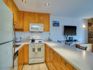 Snowmass Condo 938124