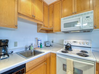 Snowmass Condo 938124