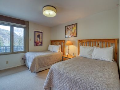 Snowmass Condo 938124