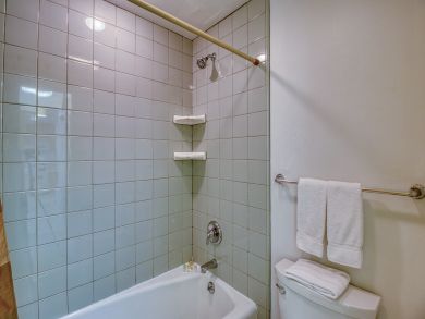 Snowmass Condo 938124