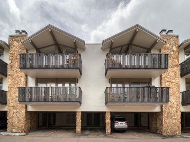 Snowmass Condo 938124