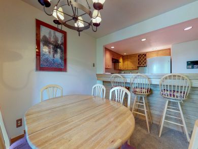 Breckenridge Condo 938125