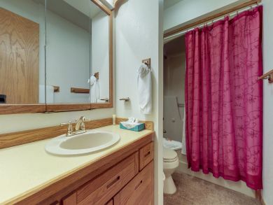Breckenridge Condo 938125