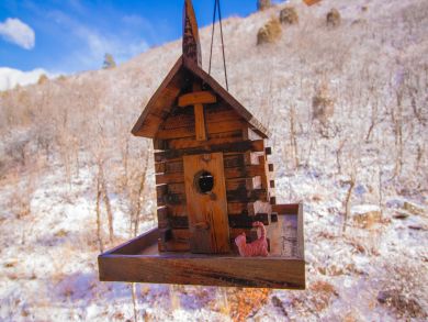 Breckenridge Home 938129