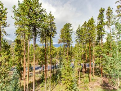 Breckenridge Home 938130