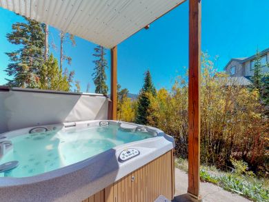Breckenridge Condo 938134
