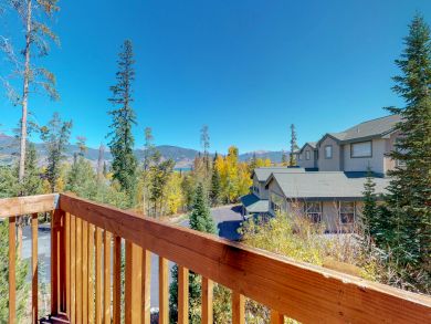 Breckenridge Condo 938134