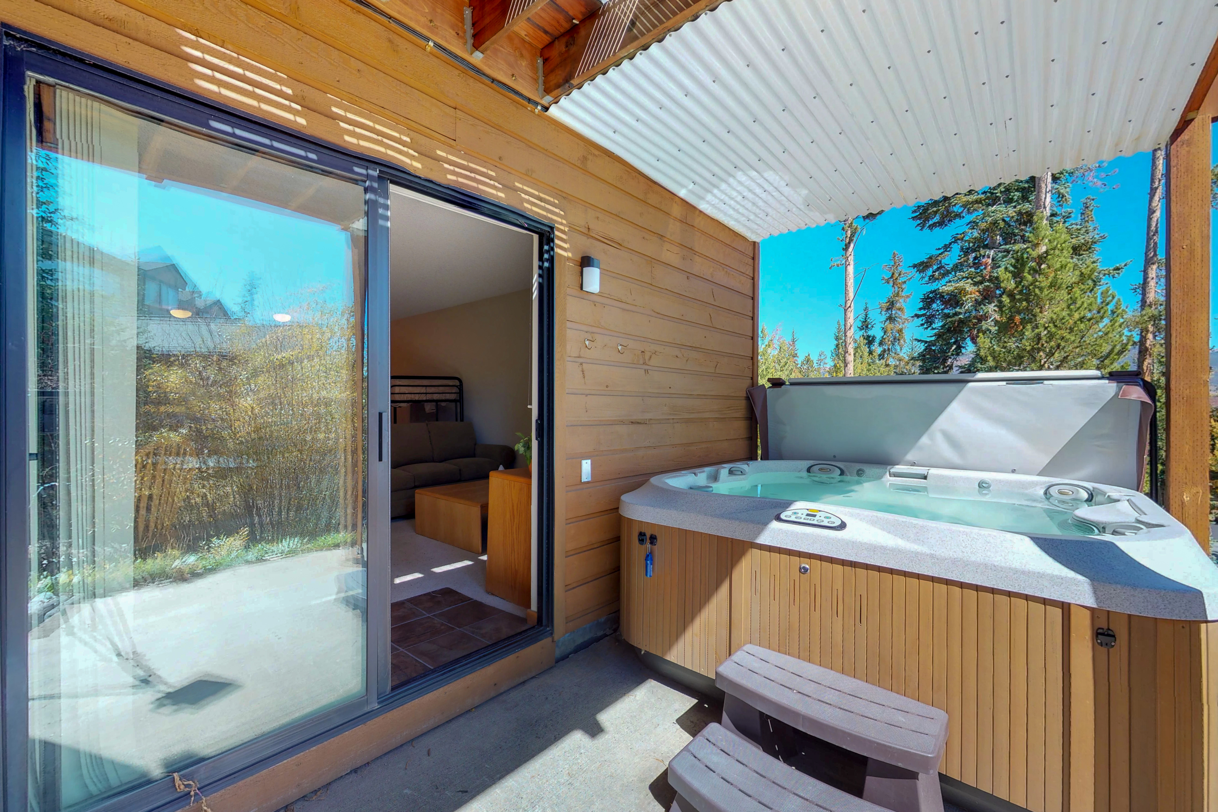 Breckenridge Condo 938134
