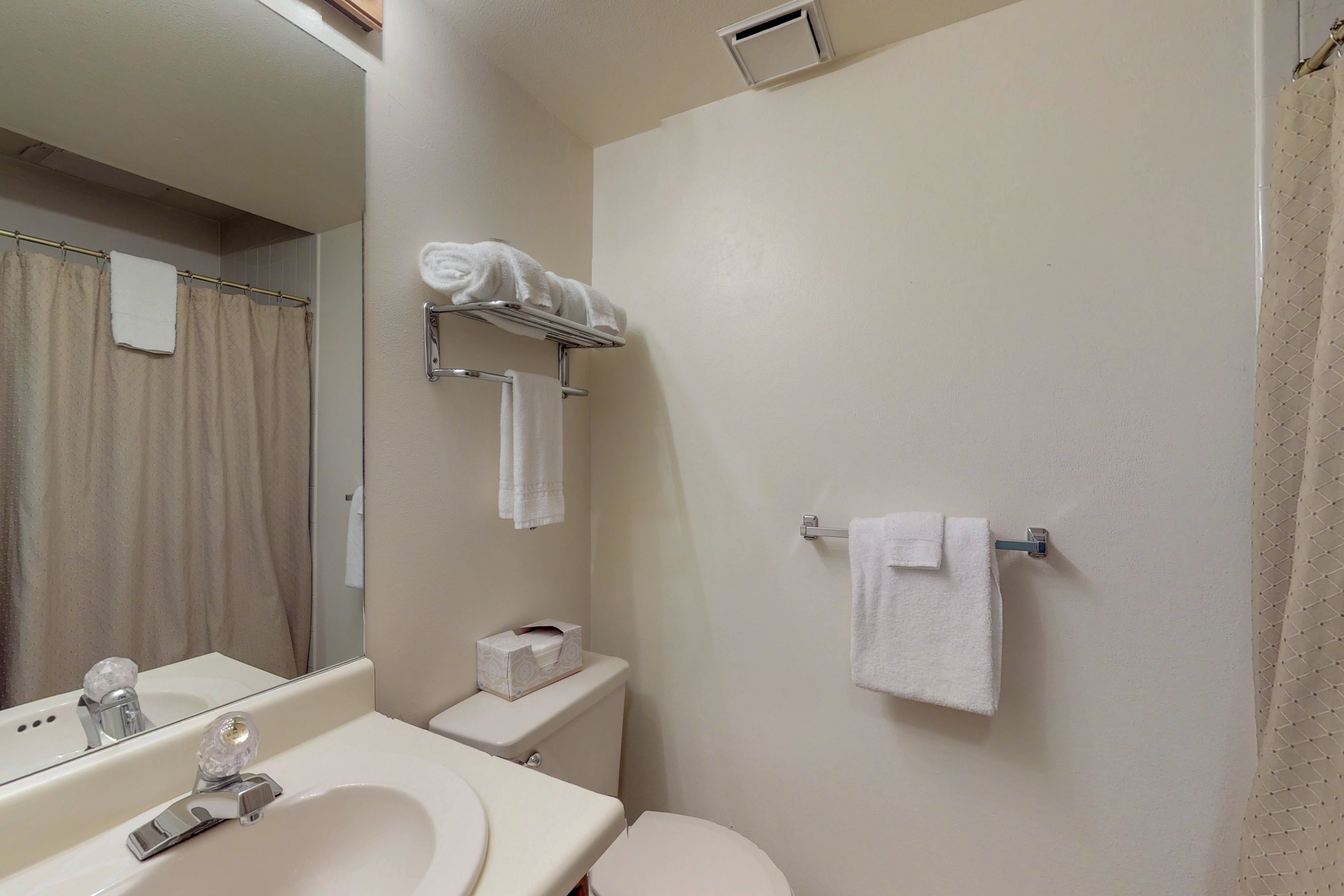 Breckenridge Condo 938134
