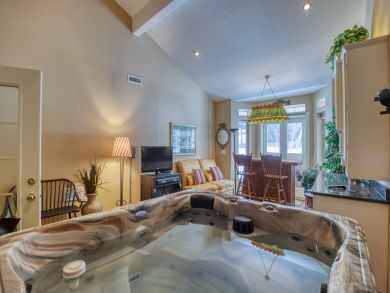 Breckenridge Condo 938135