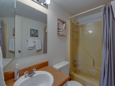 Breckenridge Condo 938137