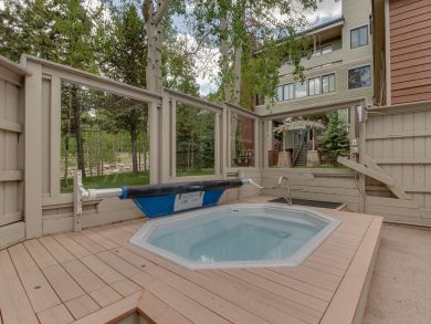 Breckenridge Condo 938140