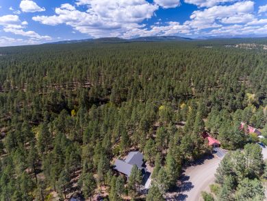 Breckenridge Home 938151