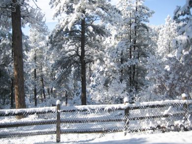 Breckenridge Home 938151