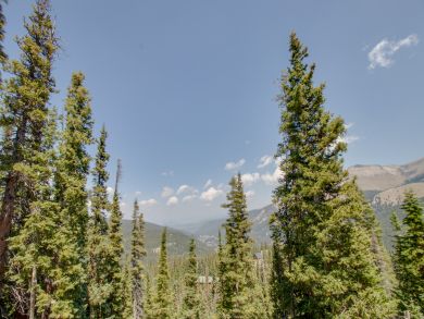 Breckenridge Home 938153