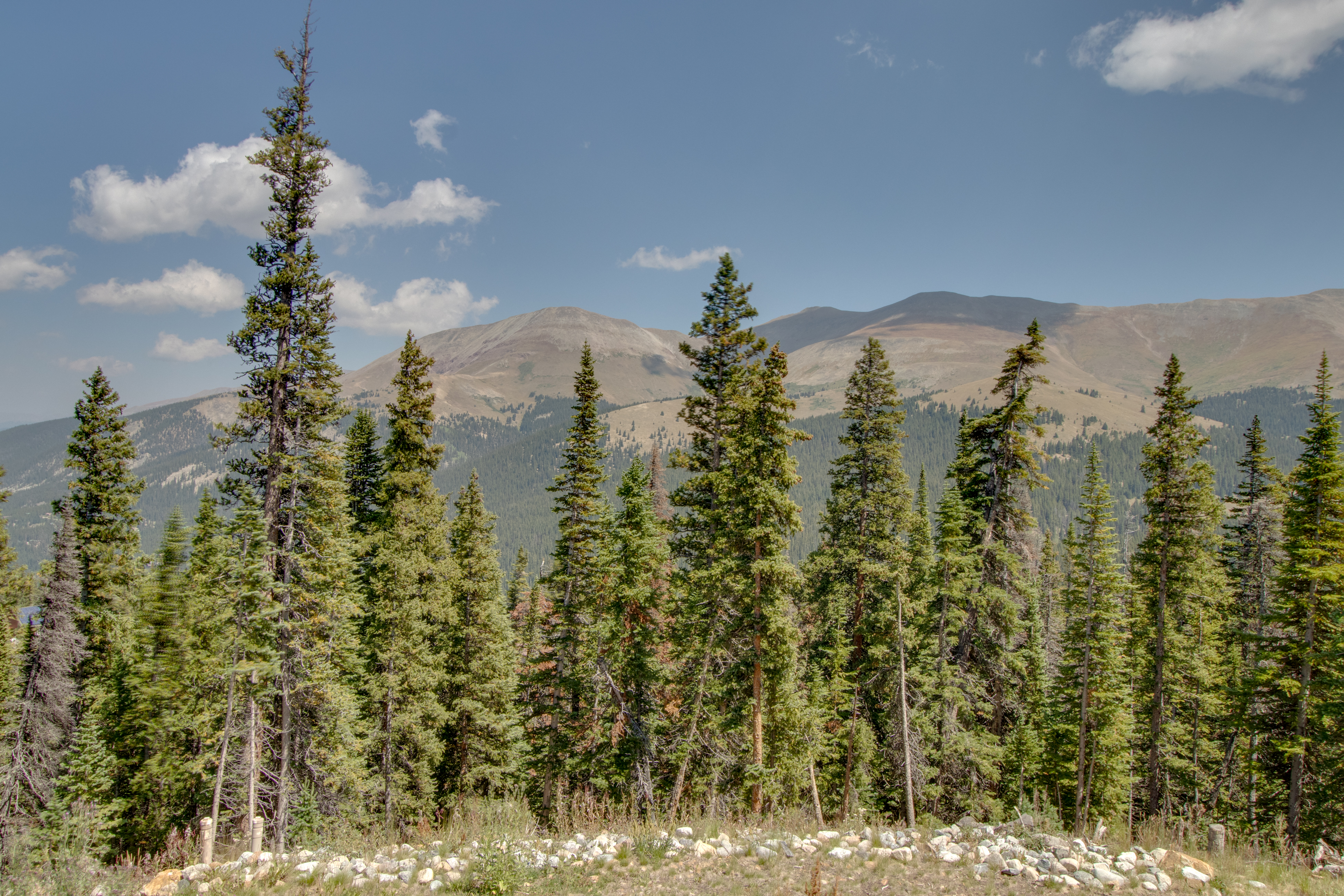 Breckenridge Home 938153