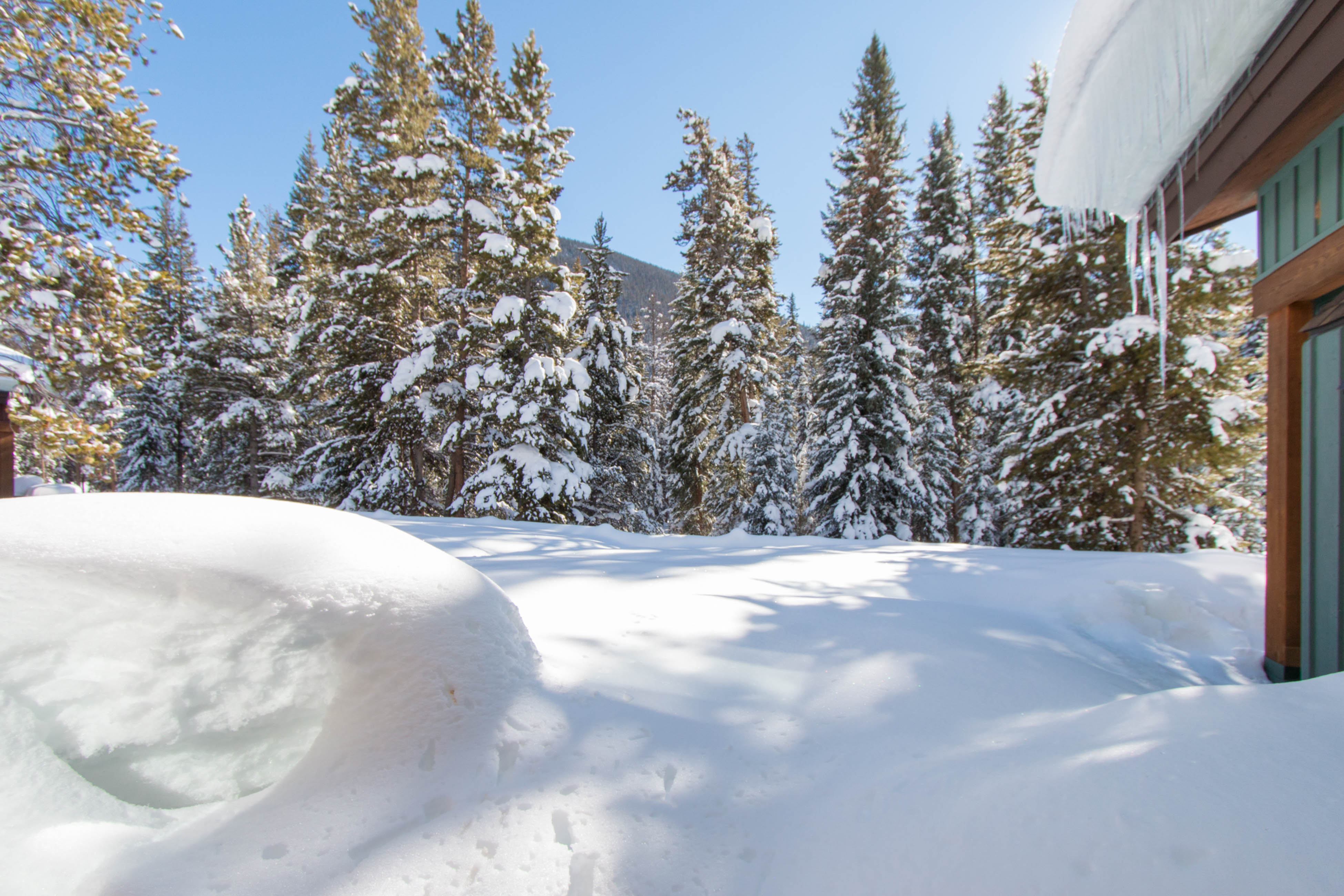 Breckenridge Condo 938156