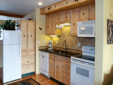Breckenridge Condo 938157