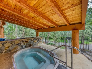 Breckenridge Condo 938158
