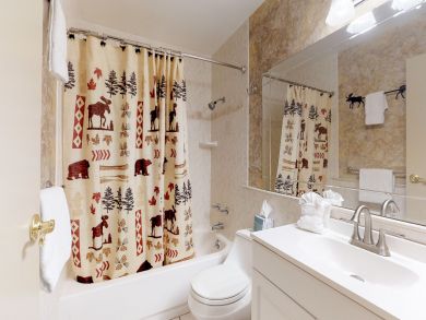 Breckenridge Condo 938159