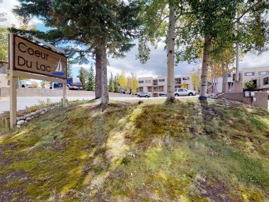 Breckenridge Condo 938159