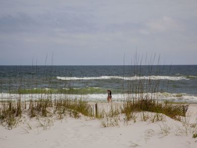 Alabama Beach Areas Home 938173