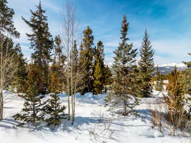 Breckenridge Home 938180