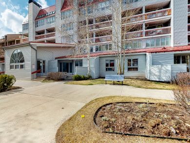 Breckenridge Condo 938181