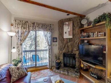 Breckenridge Condo 938202
