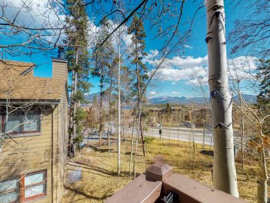 Breckenridge Condo 938204