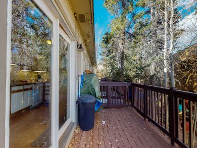 Breckenridge Condo 938204