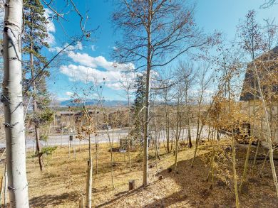 Breckenridge Condo 938204